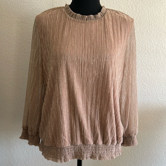 Rose Gold Shimmer Long Sleeve Blouse Size Large - Picture 1 of 7